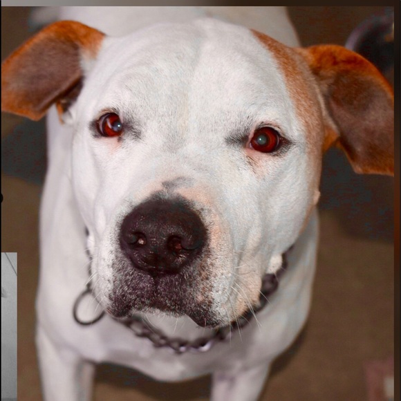 Meet your Posher, Mariana - Picture 1 of 1